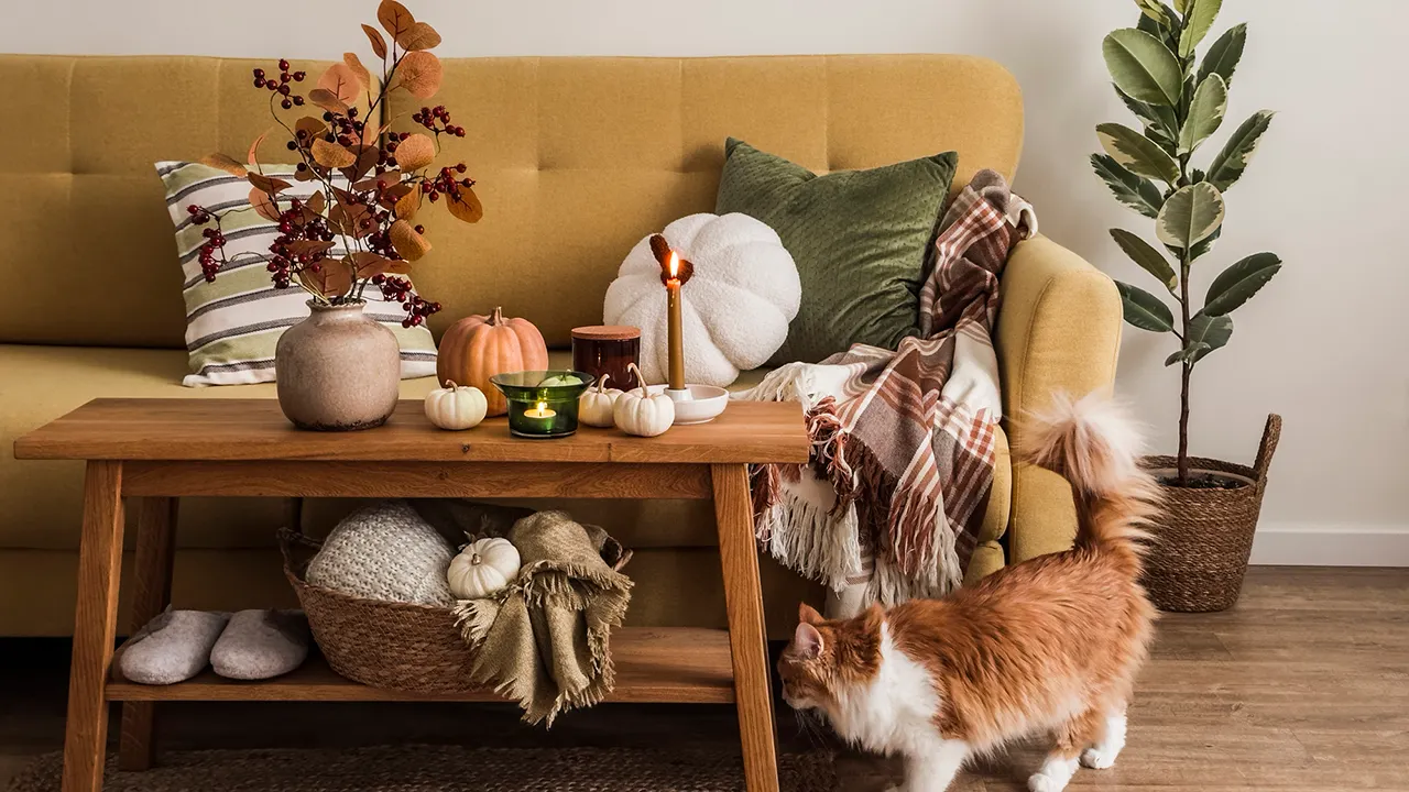 Rendez votre maison plus chaleureuse pour l'automne avec ces articles à moins de 50 dollars