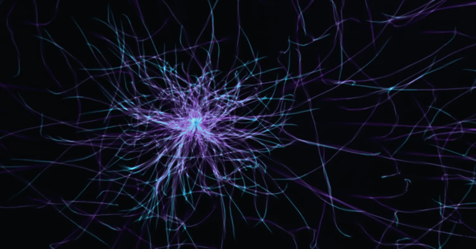 Comment mon cerveau reflète le vôtre
