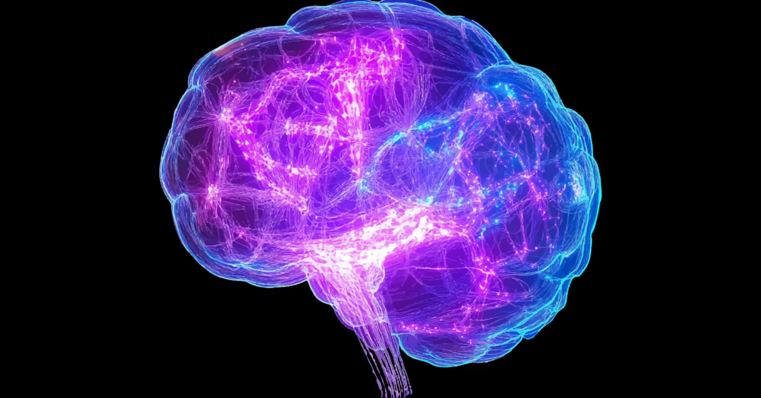Construire une plasticité neurale positive dans un esprit brillant
