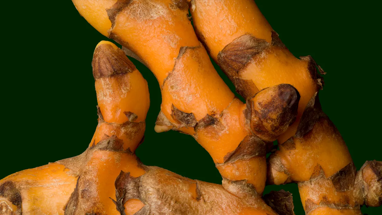 Les bienfaits inattendus du curcuma
